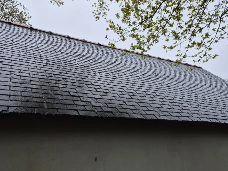 after-image