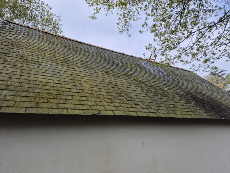 before-image